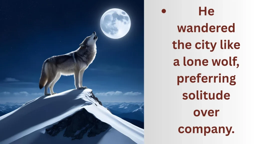 Alone like a lone wolf-similes for alone