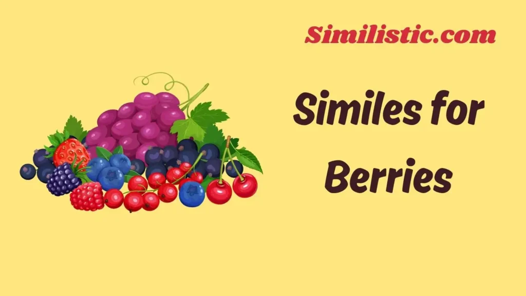 Similes for Berries