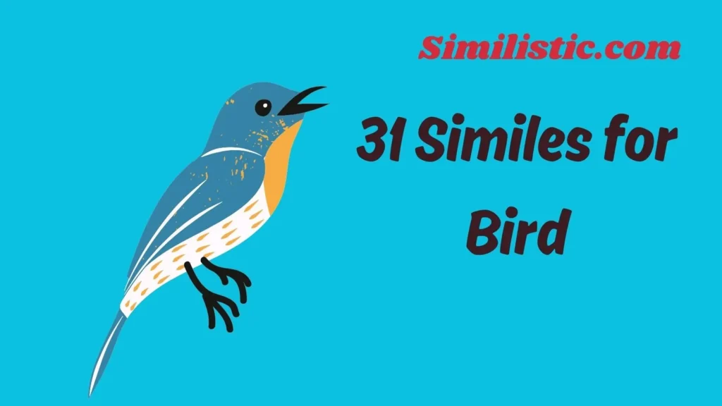 31 Similes for Bird
