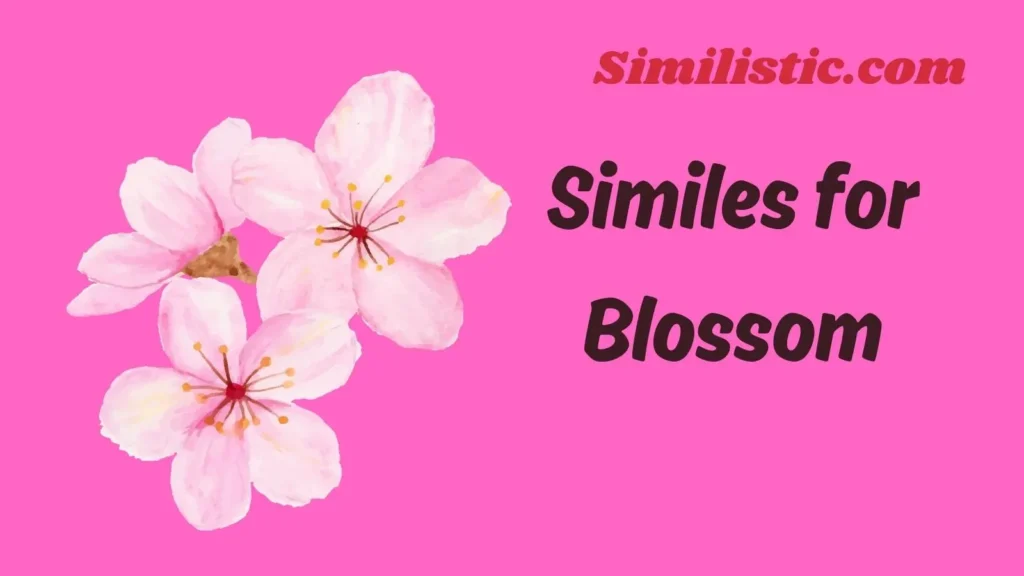 Similes for Blossom