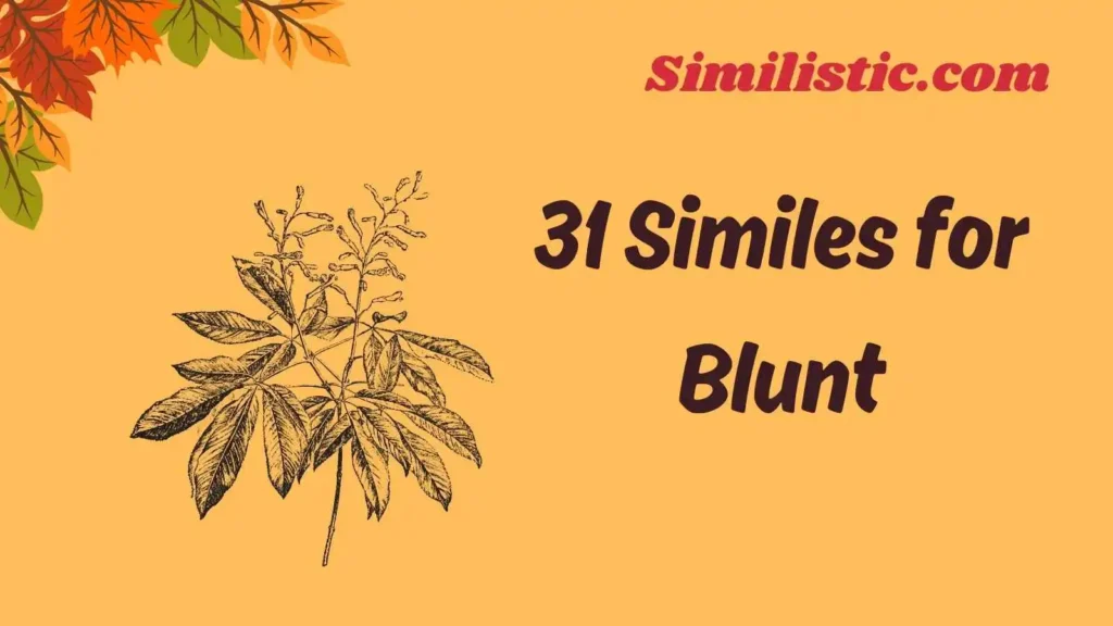 Similes for Blunt: As Blunt As Comparisons