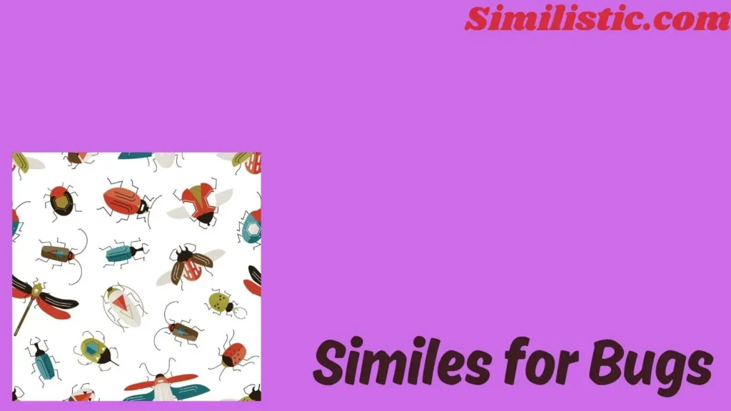 Similes for Bugs