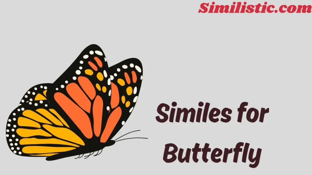 Similes for Butterfly