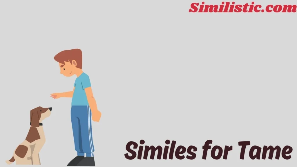 Similes for Tame