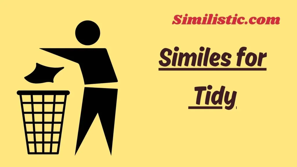 Similes for Tidy