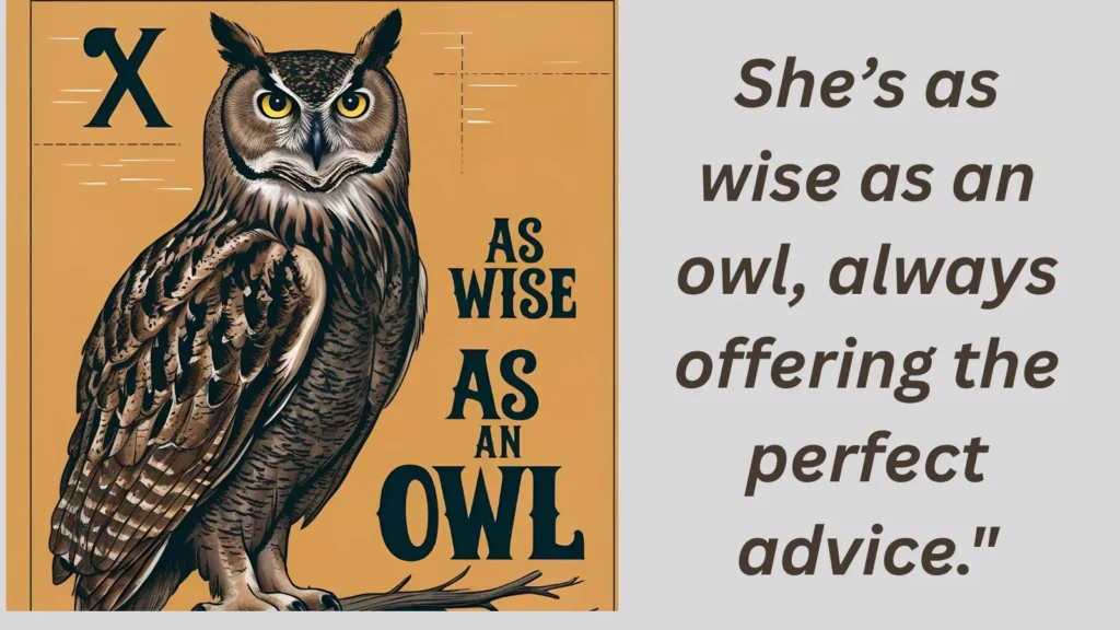 As wise as an owl-Similes for wise