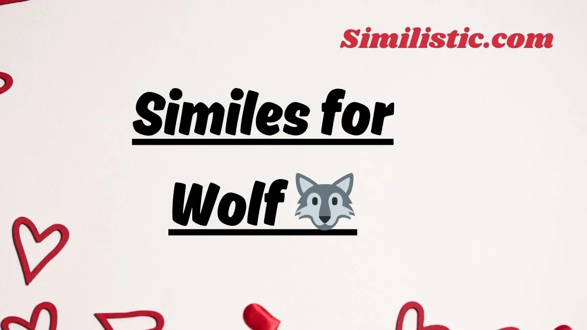 Similes for Wolf 🐺