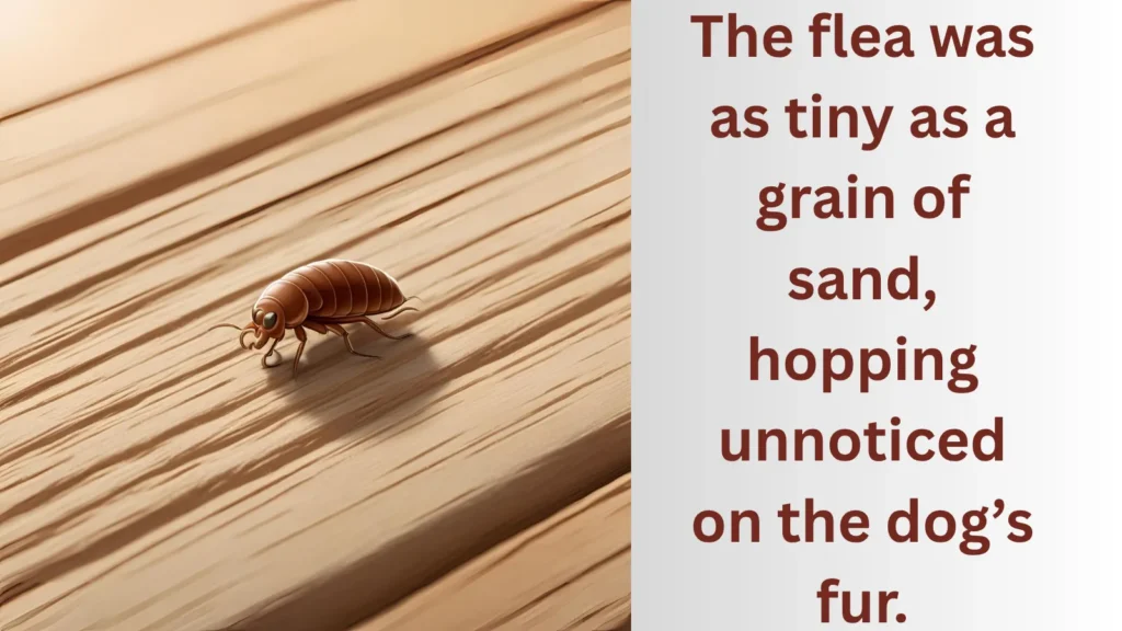 Tiny as a grain of sand