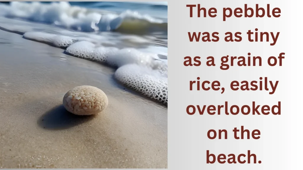 Tiny as a grain of rice-similes for tiny