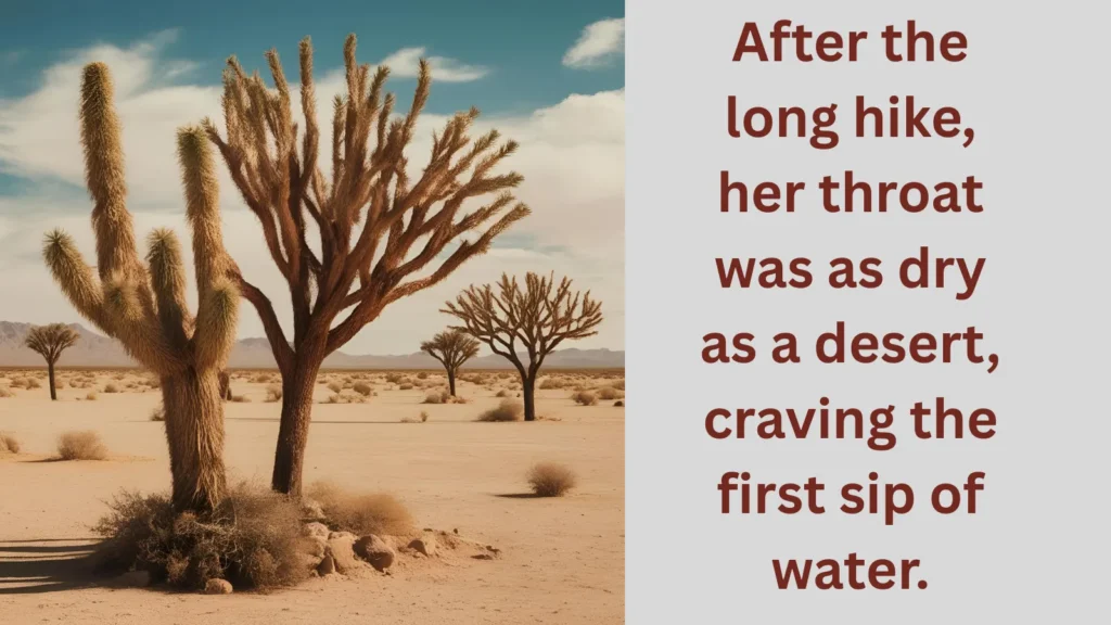 As dry as a desert-similes for thirsty