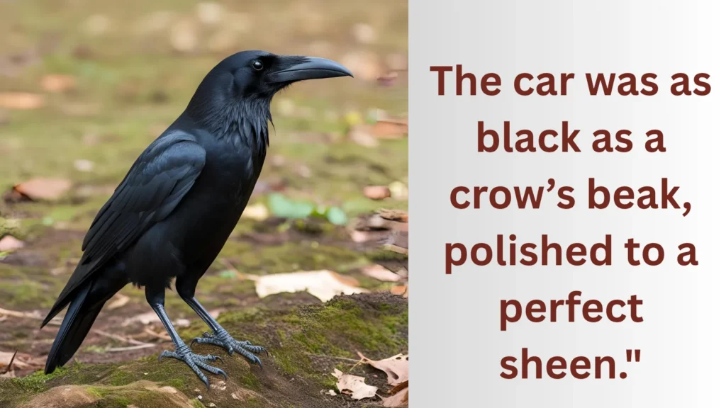 As black as a crow’s beak