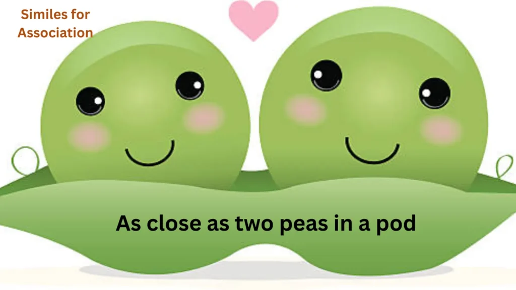 As close as two peas in a pod