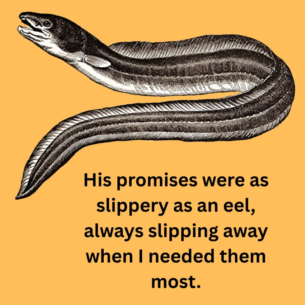 As Slippery as an Eel
