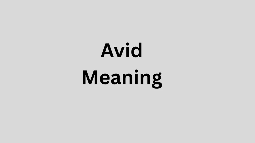 Avid Meaning in Text