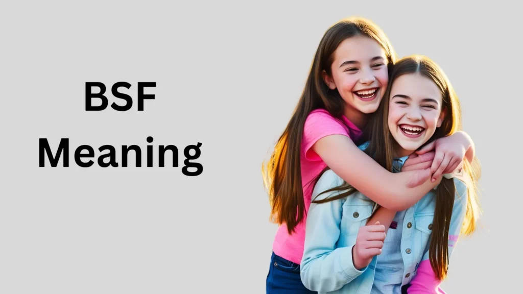 BSF Meaning :in pic