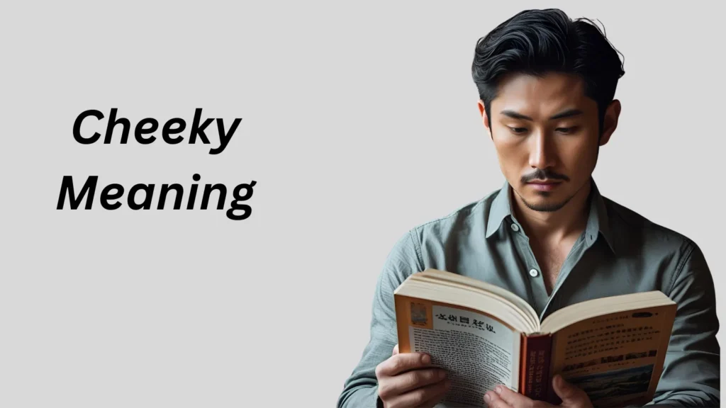 Cheeky Meaning in Text