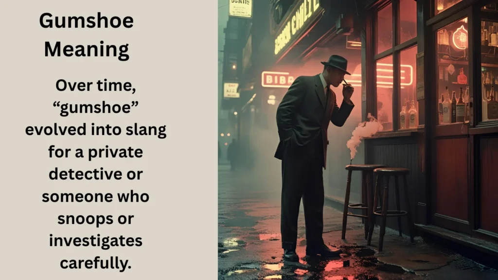 Gumshoe Meaning in text