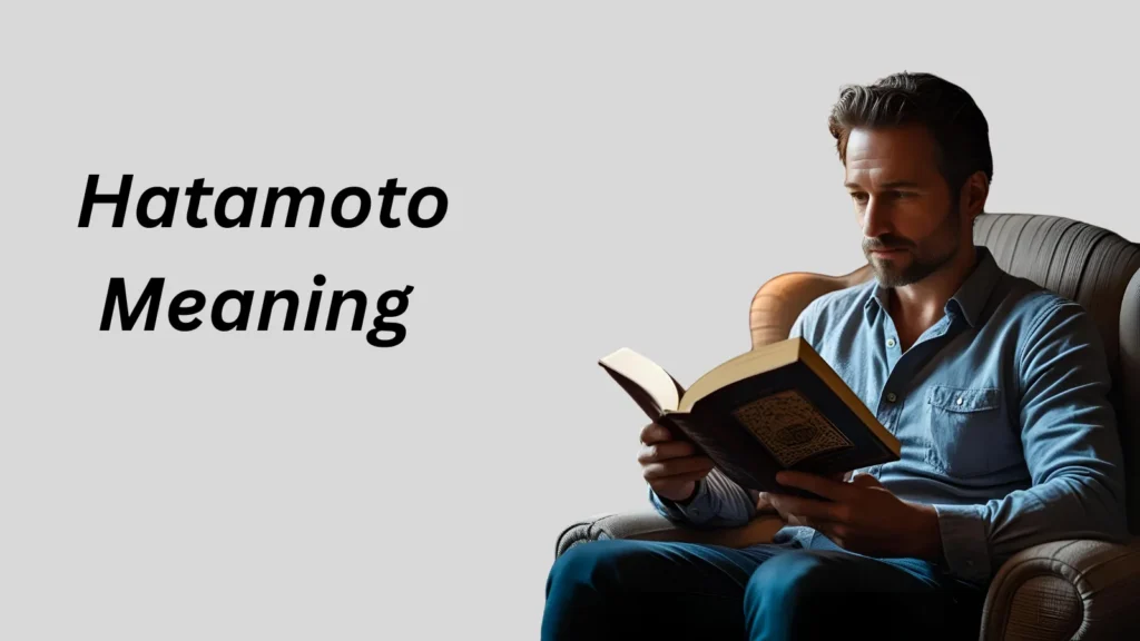 Hatamoto Meaning in Text
