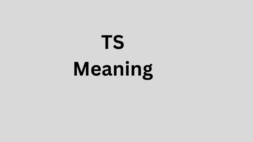 TS Meaning in Text