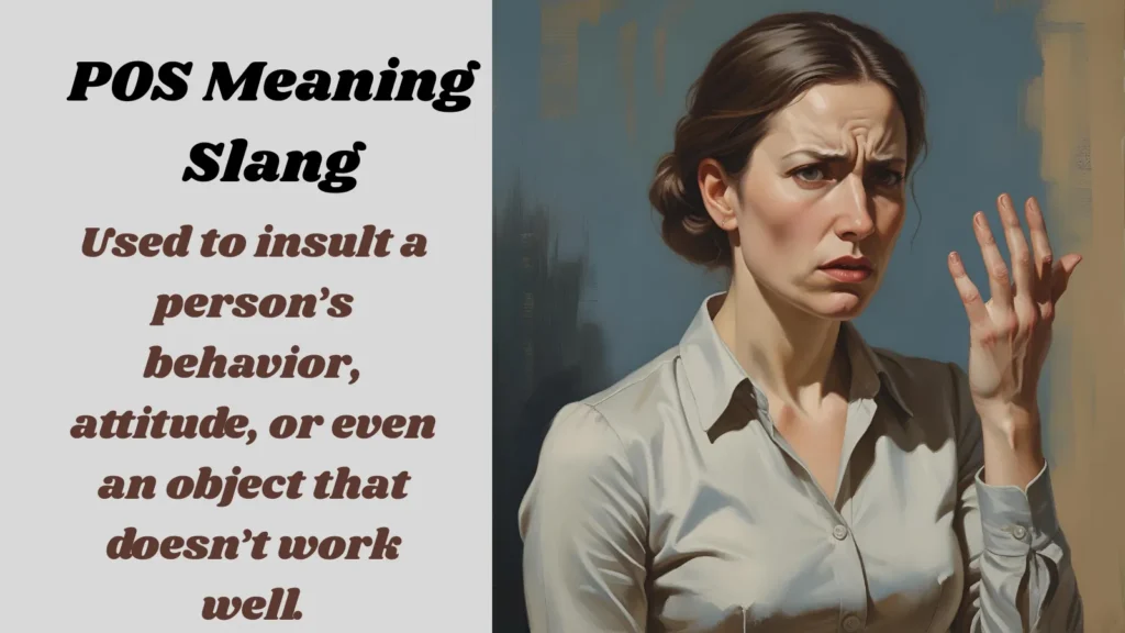 POS Meaning Slang