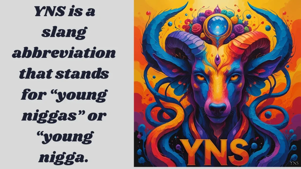 YNS Meaning Slang in Text