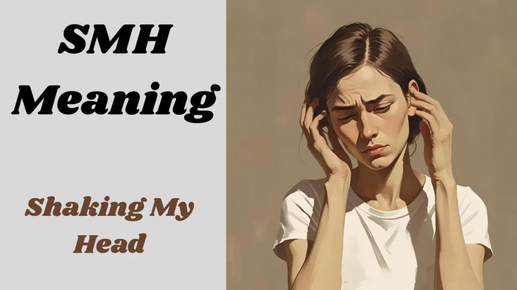 SMH stands for “Shaking My Head.