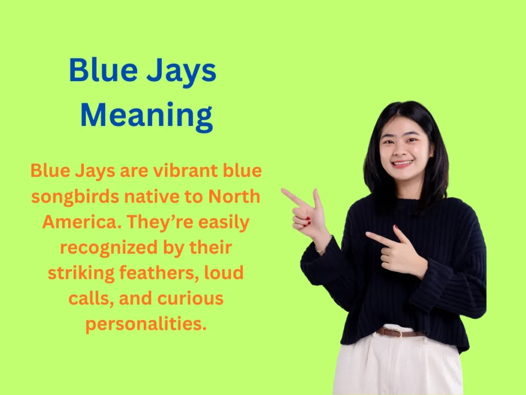 Blue Jays Meaning Explained