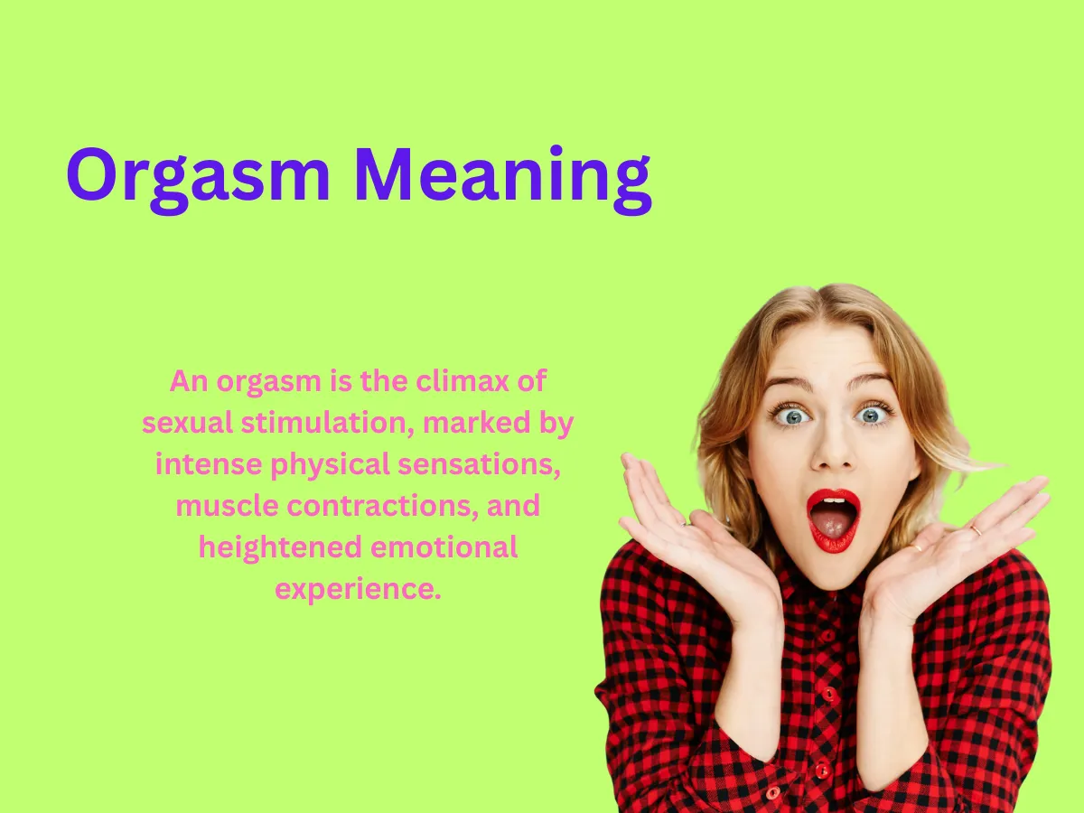 Orgasm Meaning Explained