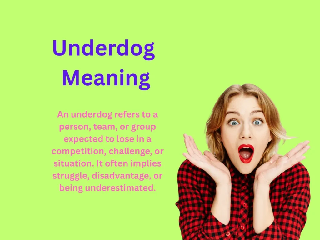 Underdog Meaning Explained