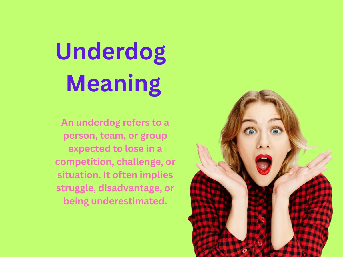 Underdog Meaning Explained