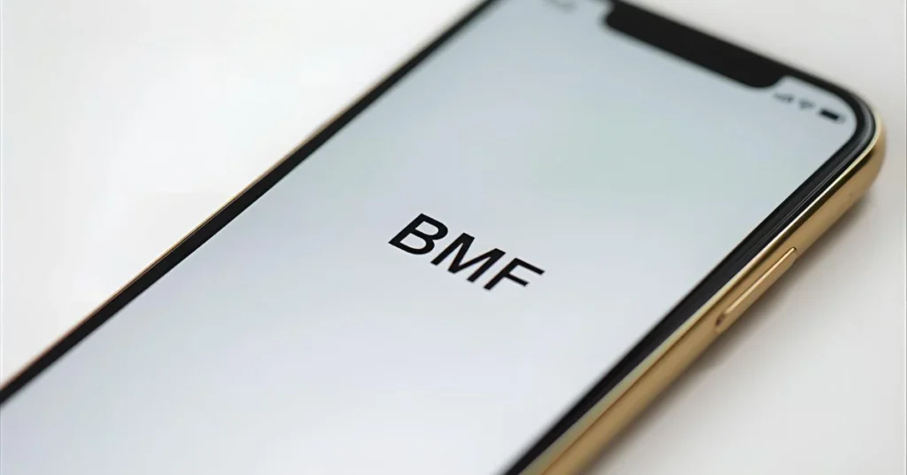 BMF Definition & Meaning