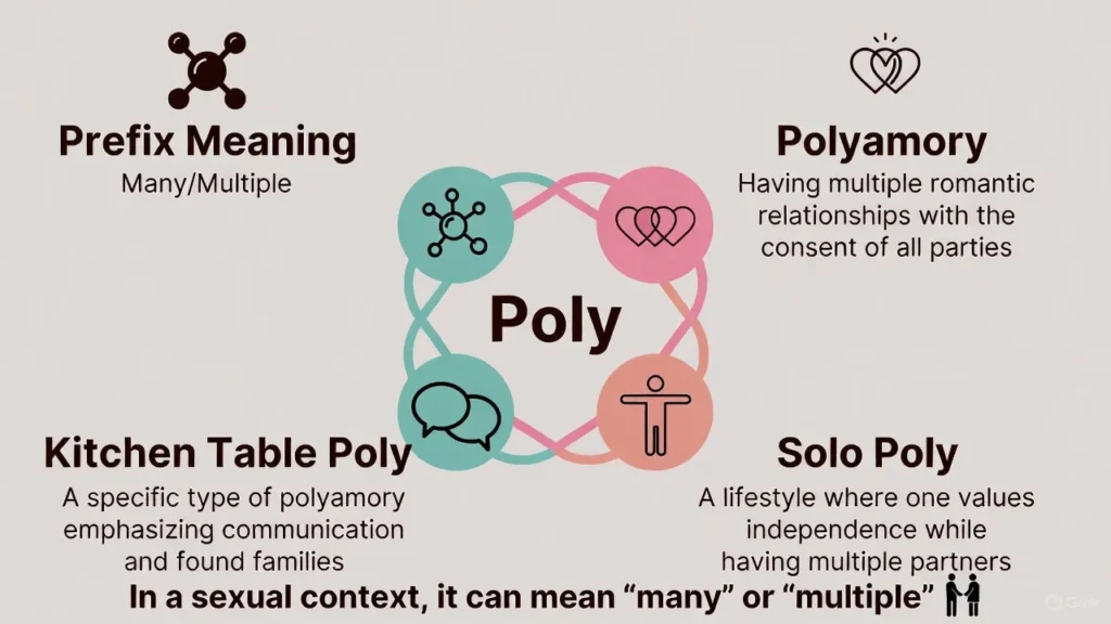 Poly Definition & Meaning